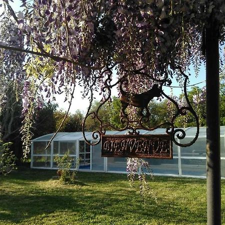 Bed and Breakfast La Ferme Du Bien Etre Ате-сюр-Шер Экстерьер фото